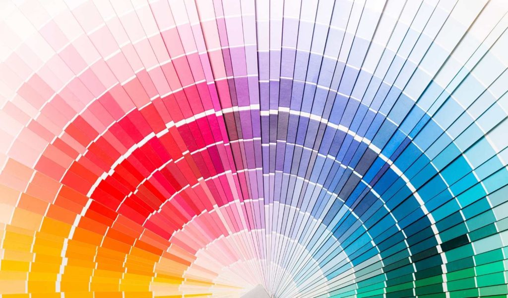 charte graphique couleurs